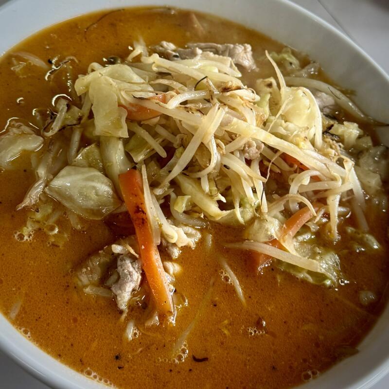 食堂 いこい 秋田県湯沢市相川 三関駅 須川 辛口みそ 辛味噌ラーメン 具