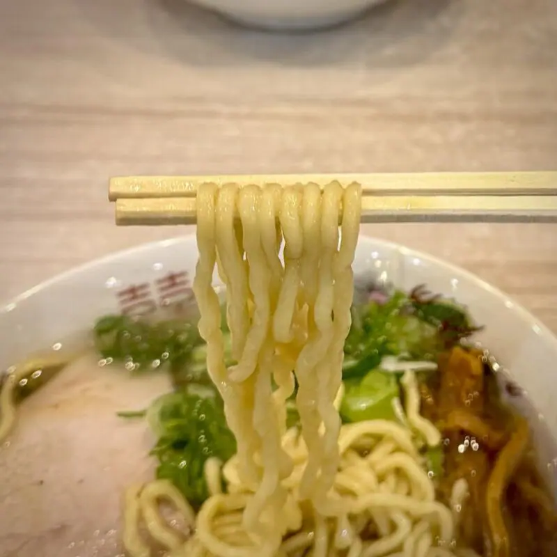 自家製麺 麺や二代目 夜来香 イエライシャン 秋田県秋田市下新城中野 追分駅 背脂と煮干しの中華そば 背脂煮干しラーメン 醤油ラーメン 自家製麺