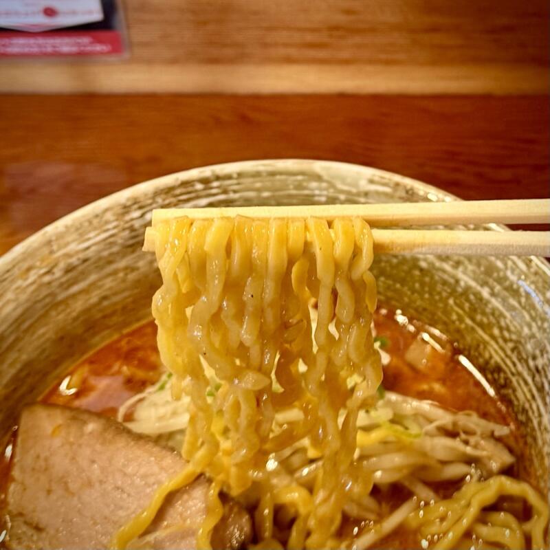 拉麺ひなた 山形県東根市神町西 神町駅 辛味噌ラーメン 森住製麺