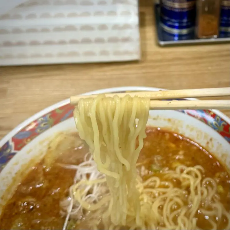 ラーメンの店 南園 なんえん 秋田県大仙市大曲 大曲駅 タンタンメン 担々麺 辛 辛め 麺