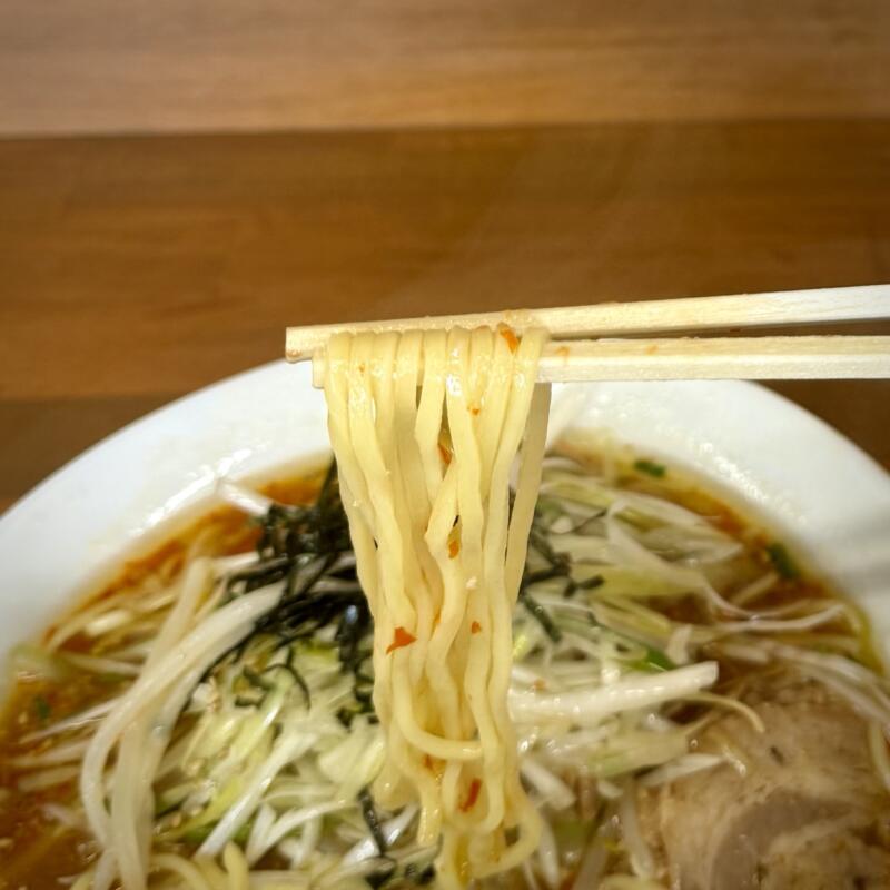 大曲ラーメン おおまがりらーめん 秋田県大仙市大曲 大曲駅 保屋 ネギみそラーメン 激辛トッピング 辛味噌ラーメン 麺