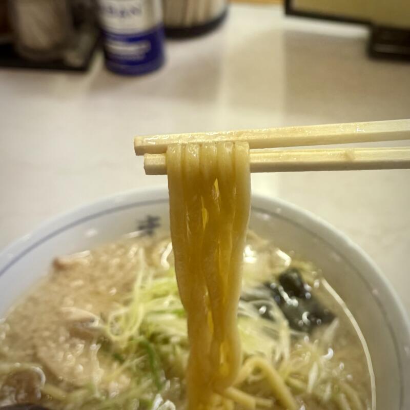 まつや食堂 食堂 まつや 新潟県燕市殿島 県央大橋東詰 燕駅 中華そば 燕背脂ラーメン 背脂醤油ラーメン 自家製麺