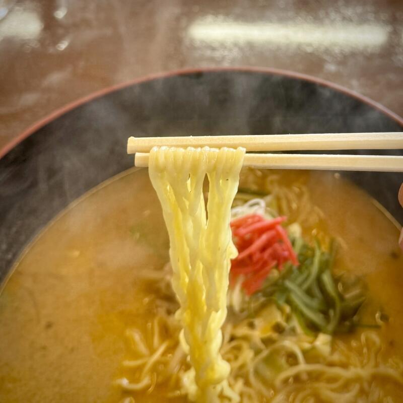 お食事処 とりみ亭 あぽん西浜 食堂 山形県飽海郡遊佐町吹浦 あぽん西浜前 吹浦駅 トンタン麺 豚骨ラーメン 担々麺 麺