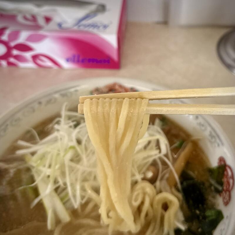 ラーメンショップ105 秋田県大仙市花館 大曲駅 殿屋敷 みそホルモンラーメン ほるもん もつ煮込み 味噌ラーメン 麺