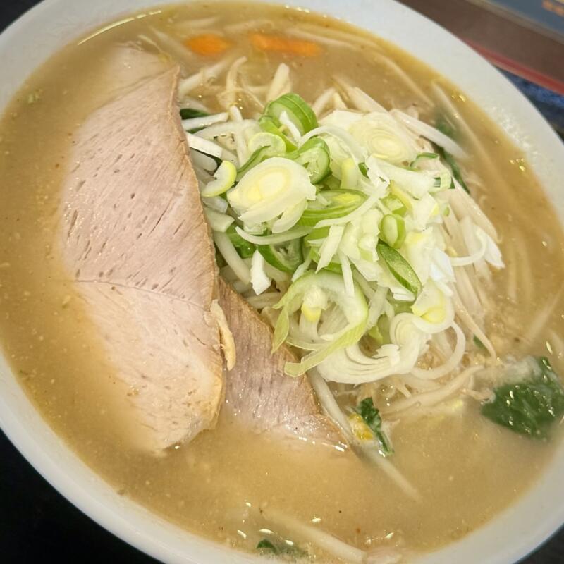 麺家秀吉 西馬音内店 秋田県雄勝郡羽後町 湯沢駅 体育館前 納豆味噌らーめん みそラーメン 具