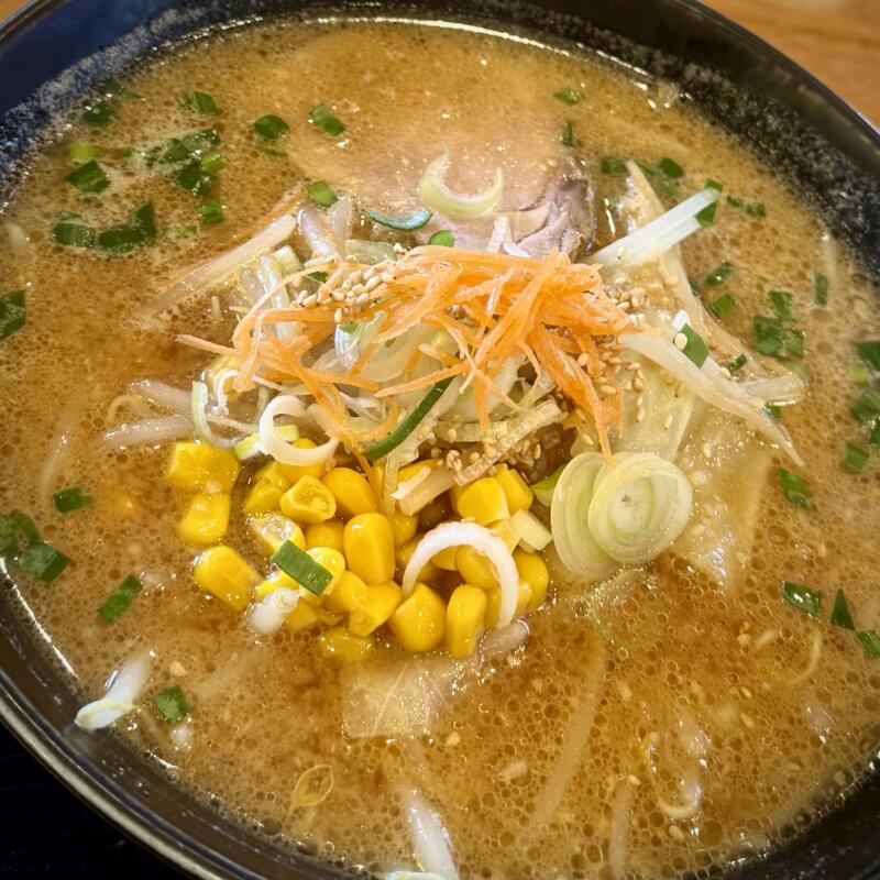 味美 藤田屋 湯沢店 秋田県湯沢市成沢 下湯沢駅 辛味噌ラーメン 特製辛味別皿 具