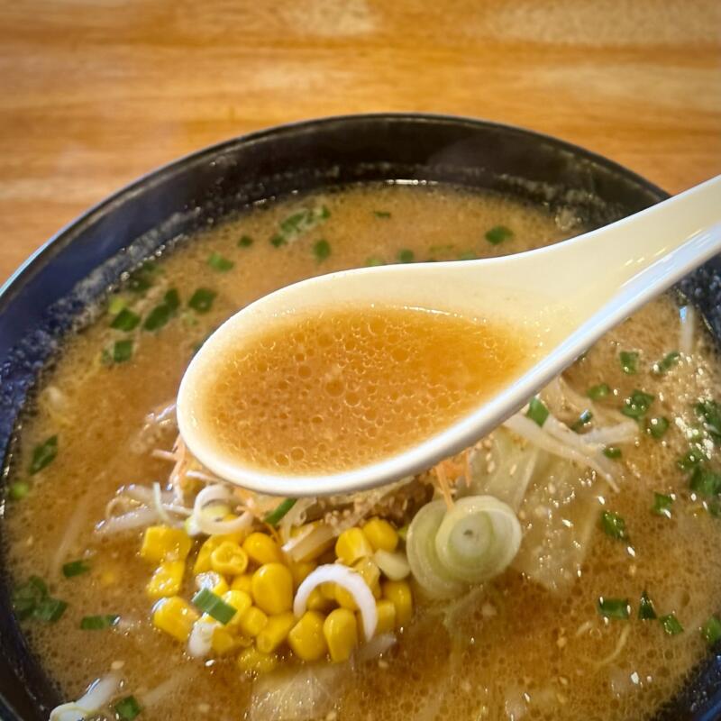 味美 藤田屋 湯沢店 秋田県湯沢市成沢 下湯沢駅 辛味噌ラーメン 特製辛味別皿 スープ