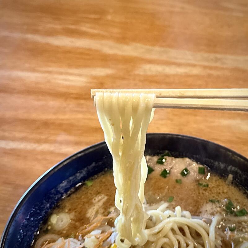 味美 藤田屋 湯沢店 秋田県湯沢市成沢 下湯沢駅 辛味噌ラーメン 特製辛味別皿 麺