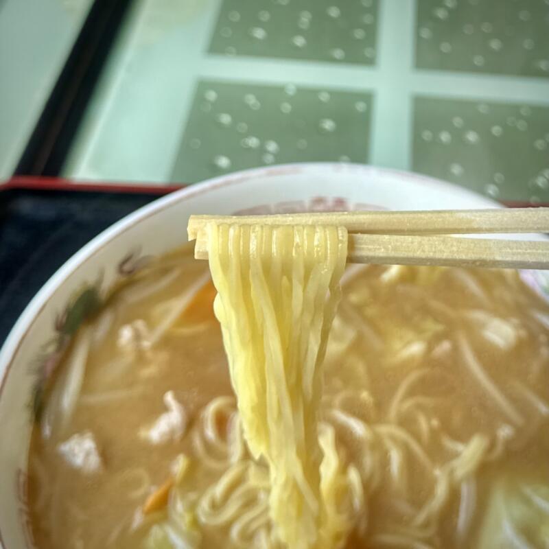 たかはし食堂 秋田県仙北市角館町勝楽 田町下 角館駅 味噌ラーメン 麺