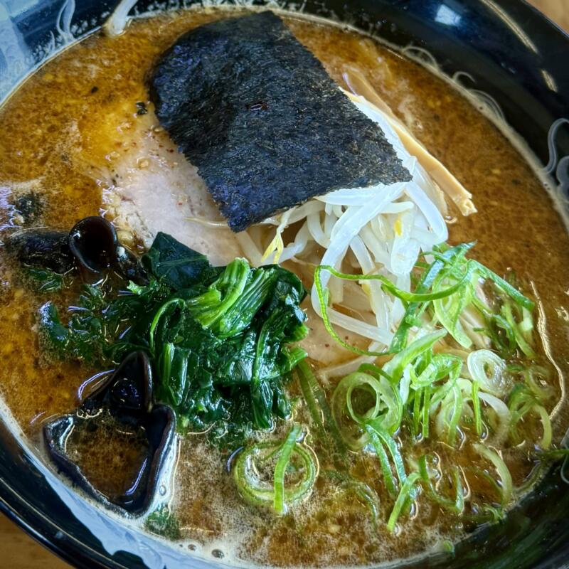 ハルピンラーメン諏訪本店 長野県諏訪市四賀 茅野駅 並木ラーメン 具