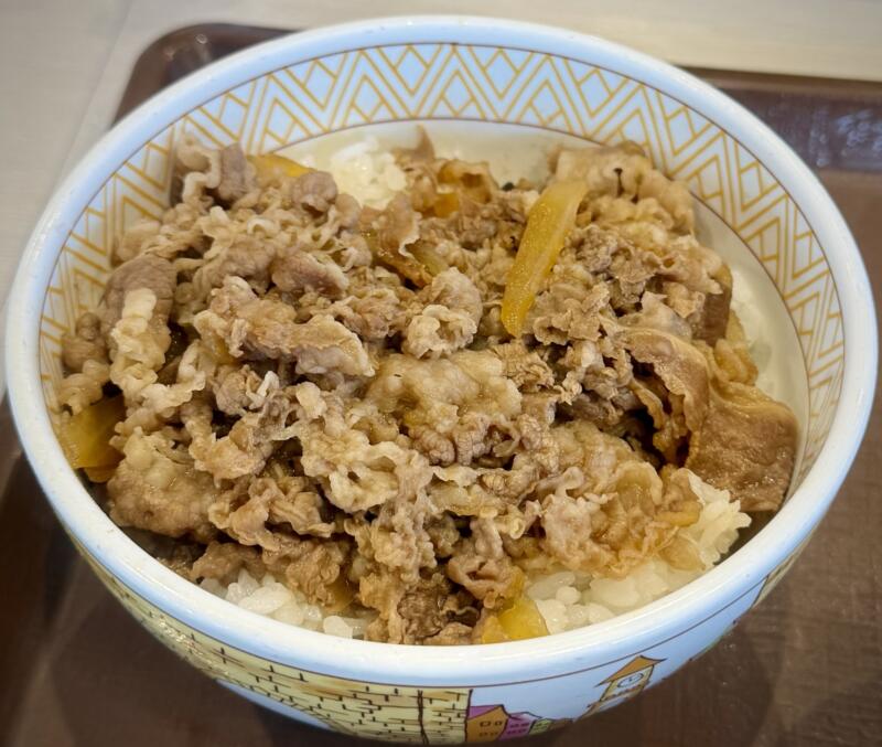 すき家 秋田泉店 秋田県秋田市泉中央 マツダ前 泉外旭川駅 とん汁みそらーめん 豚汁味噌ラーメン 牛丼おしんこセット