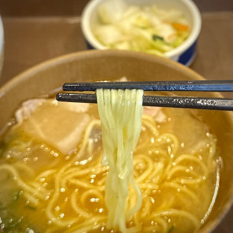 すき家 秋田泉店 秋田県秋田市泉中央 マツダ前 泉外旭川駅 とん汁みそらーめん 豚汁味噌ラーメン 牛丼おしんこセット 麺