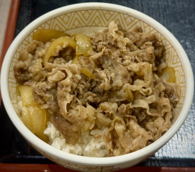 すき家 イオンモール秋田店 秋田県秋田市御所野 イオンモール秋田店3Fフードコート 四ツ小屋駅 とん汁みそらーめん 豚汁味噌ラーメン 牛丼 たまごランチセット 追加トッピング キムチ フライドにんにく 明太マヨ 汁なしまぜそばに魔改造