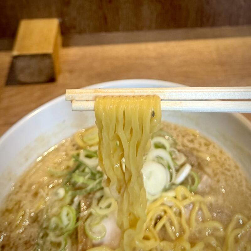 大島 東京都江戸川区船堀 船堀駅 春江町五丁目 味噌らーめん 札幌味噌ラーメン 純すみ系 麺