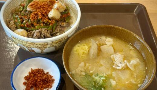 すき家 13号大仙大曲店にてとん汁みそらーめん＆トリプルニンニク牛丼をオーダー！追加したにんにくファイヤーをラーメンに投入して辛旨バージョンに味変＆ホック・フレーク・ジャンクなやみつき旨辛牛丼♪