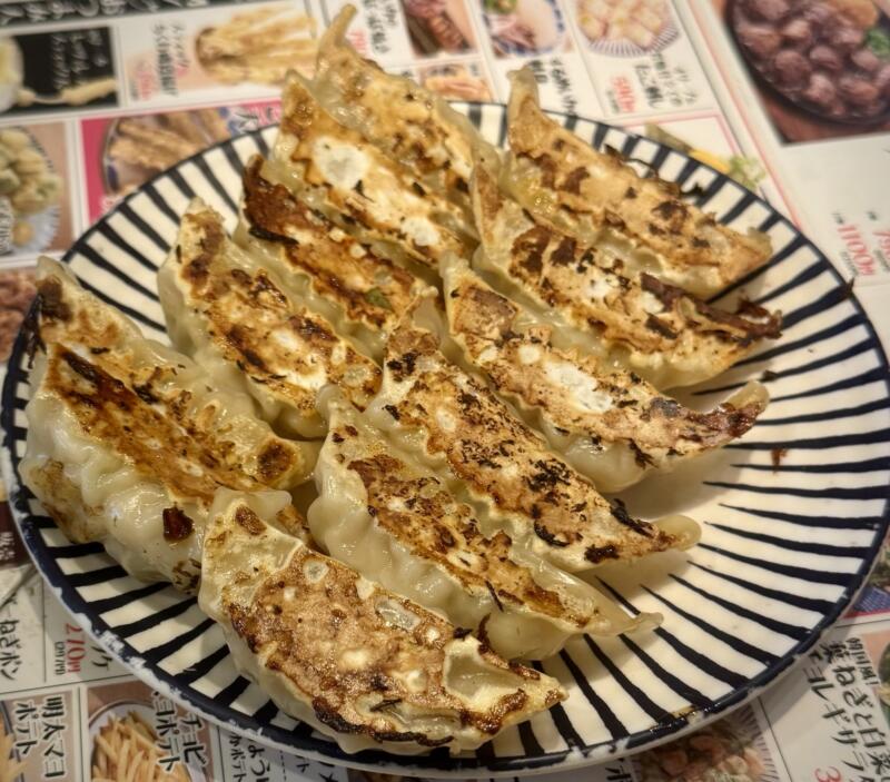 大衆スタンドてんぐ大ホール 船橋店 千葉県船橋市本町 船橋駅 ギョーザ 薄皮焼き餃子