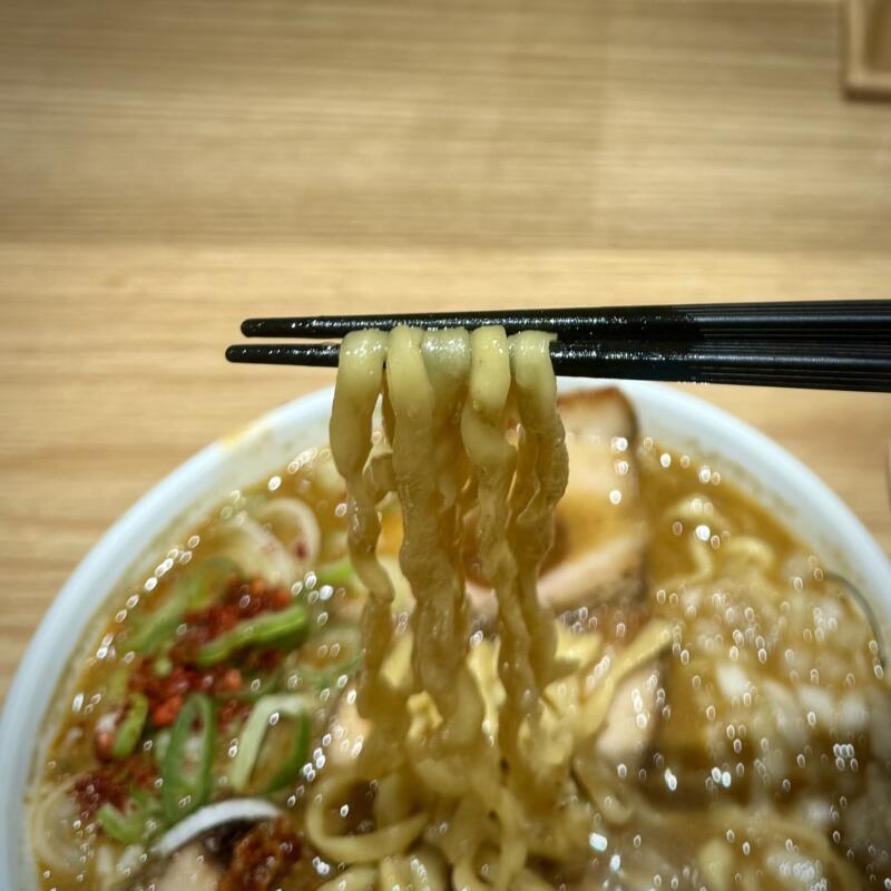 津軽煮干 ひらこ屋 東京都千代田区丸の内 東京駅一番街B1F 東京ラーメンストリート 東京駅限定 辛い煮干そばTYPE-T 辛い煮干しラーメン 津軽煮干しラーメン 麺