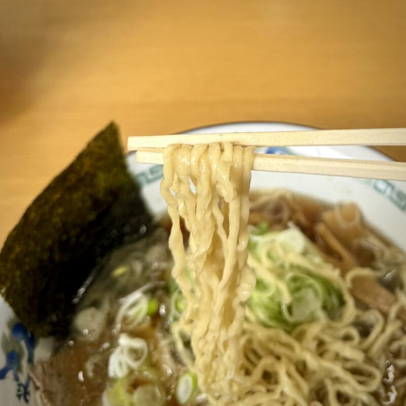 文ちゃんラーメン 青森県弘前市外崎 城東中央三丁目 弘前駅 だしそば 津軽煮干しラーメン 味濃いめ ねぎ増し ネギ追加トッピング 自家製麺 手打麺