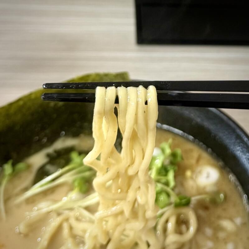麺や きぶし 木五部子 岩手県滝沢市巣子 巣子駅 富士見団地入口 煮干し白湯 白湯煮干しラーメン 中野製麺