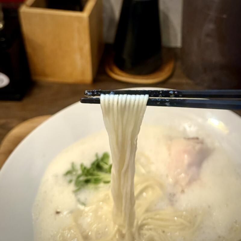 鶏×麦 らら 鶏と麦 らら 福島県須賀川市山寺町 ヨークベニマル須賀川西店隣り 須賀川駅 泡鶏白湯塩ラーメン 泡系鶏白湯ラーメン 自家製麺