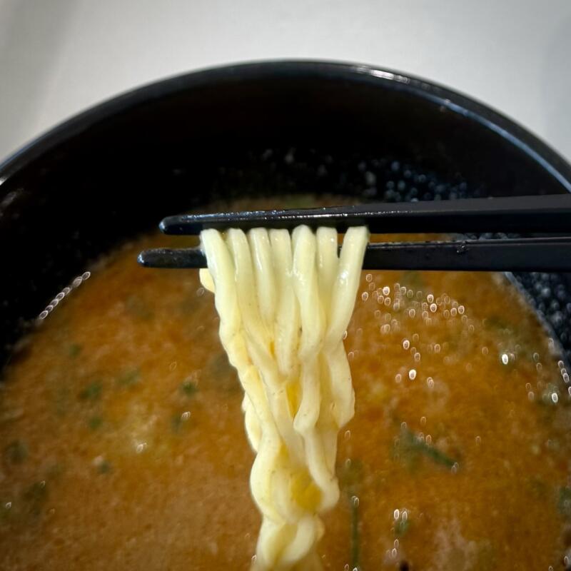 リンガーハット イオンモール大曲店﻿ 秋田県大仙市和合 イオンモール大曲2階 炭火焼き鴨肉入り海老つけ麺 自社製麺 ちゃんぽん麺