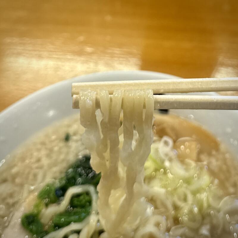 伊藤商店 山形東根店 山形県東根市中央 さくらんぼ東根駅 東根市役所前 白の中華そば 喜多方ラーメン 背脂醬油ラーメン 麺